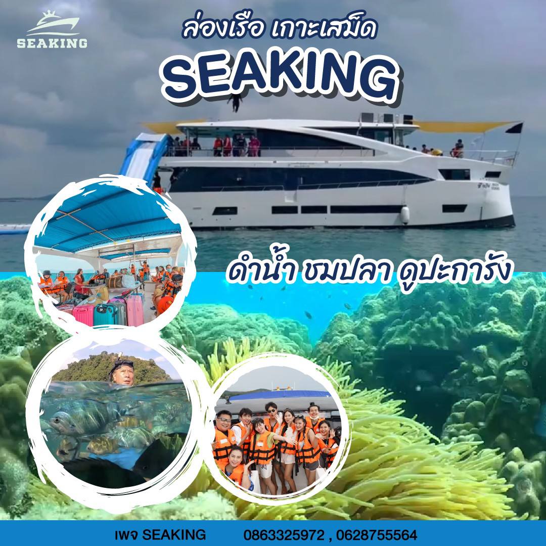 กิจกรมม seaking