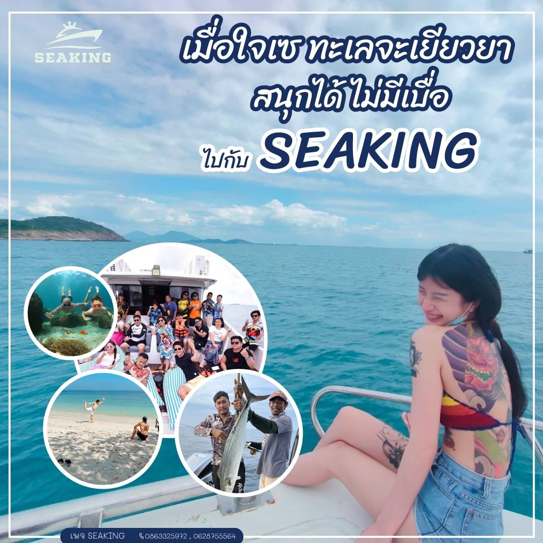 กิจกรมม seaking
