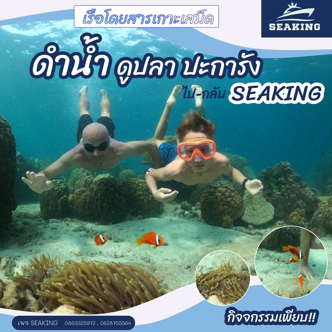 กิจกรมม seaking