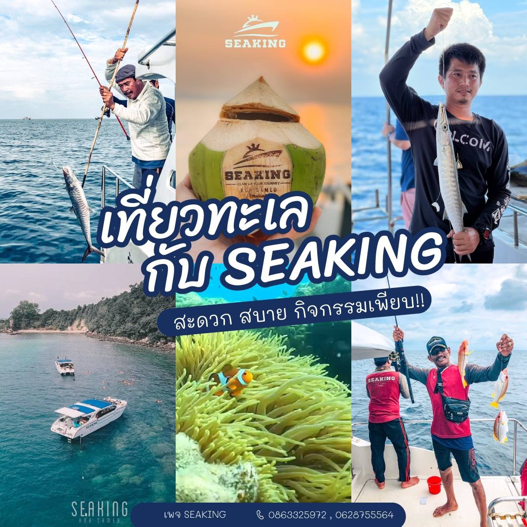 กิจกรมม seaking