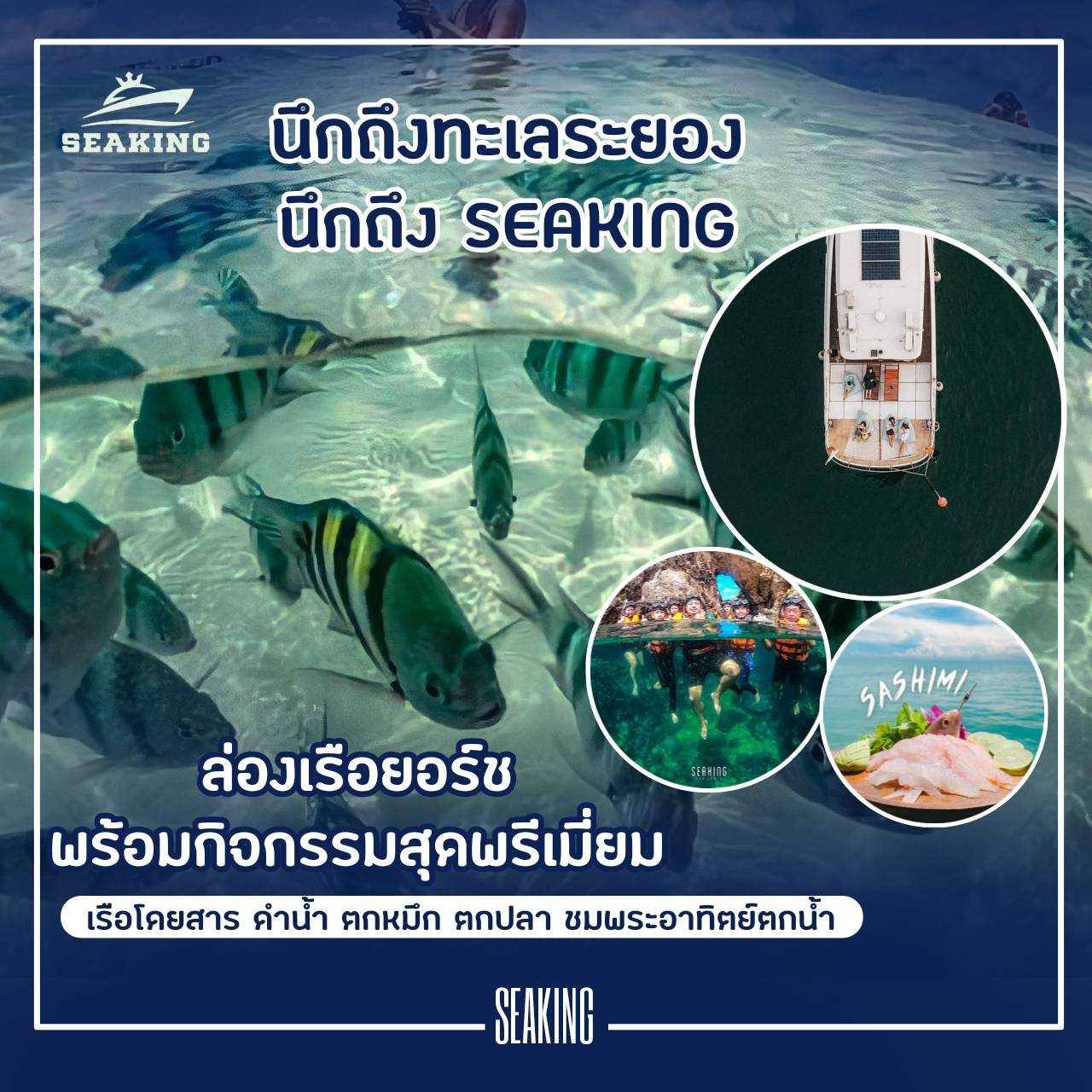 กิจกรมม seaking