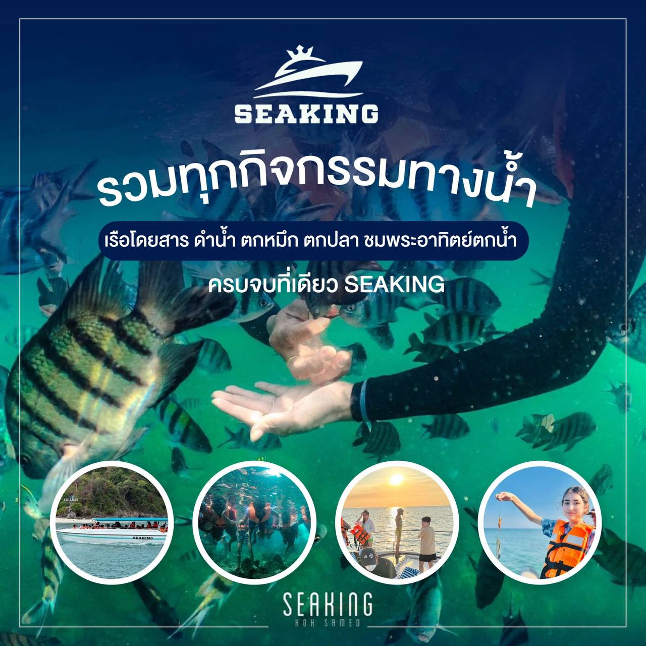 กิจกรมม seaking