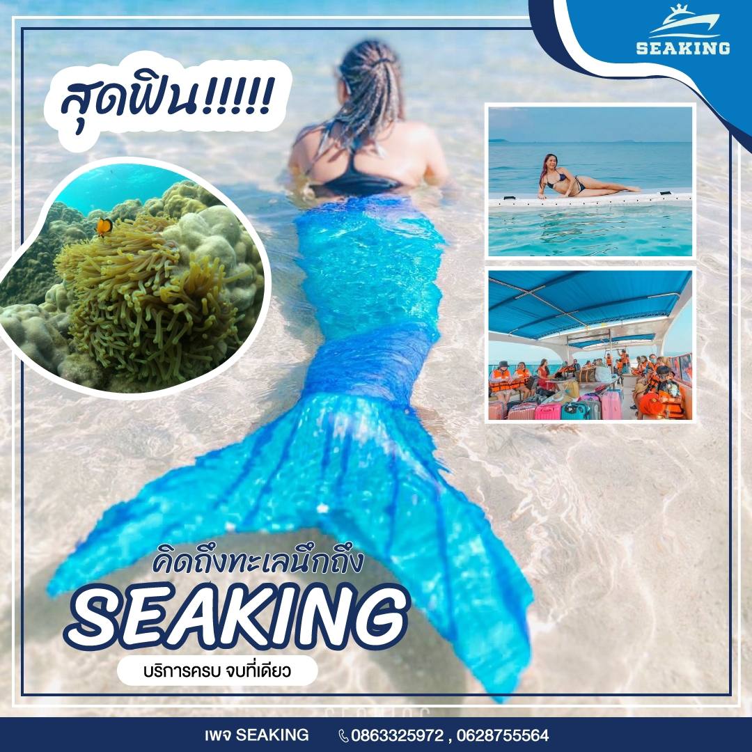 กิจกรมม seaking