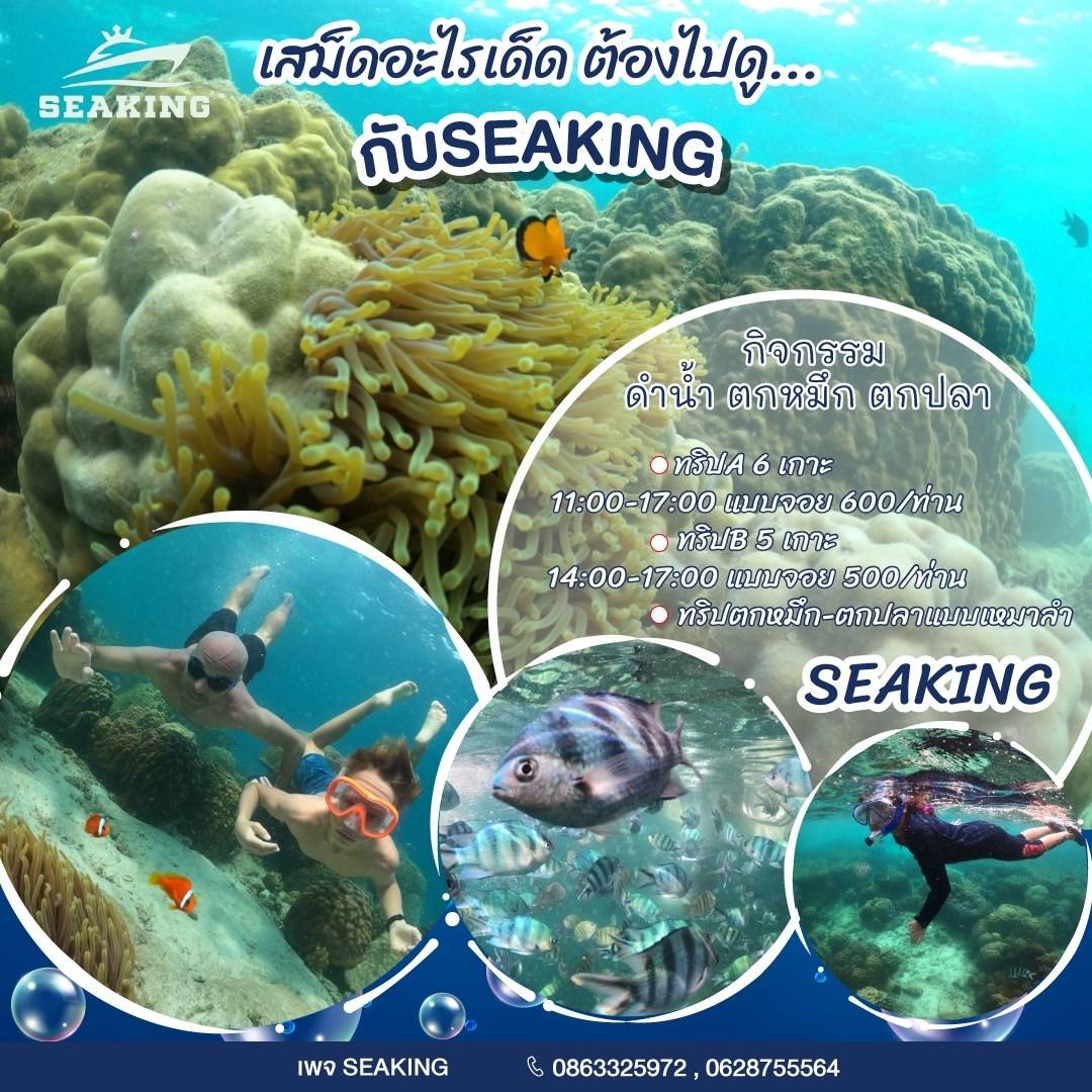 กิจกรมม seaking