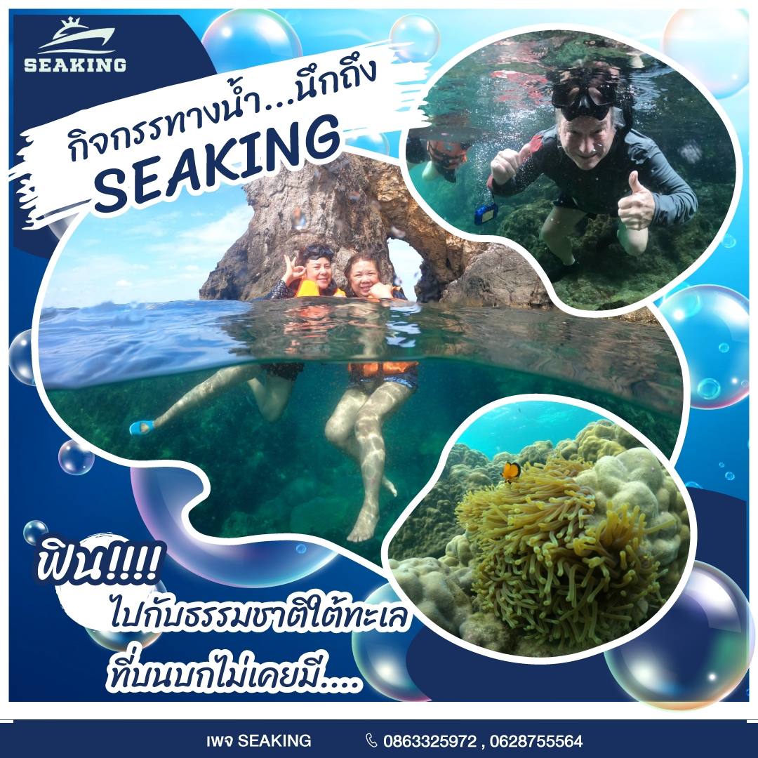 กิจกรมม seaking