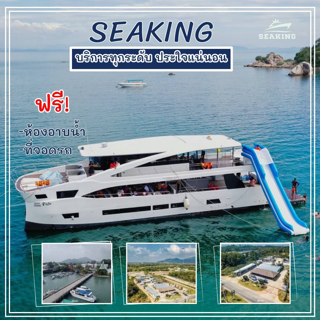 กิจกรมม seaking